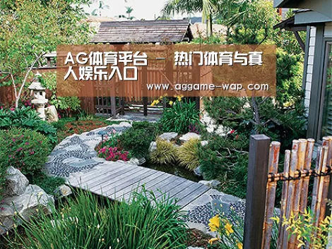 产品展示标题五
