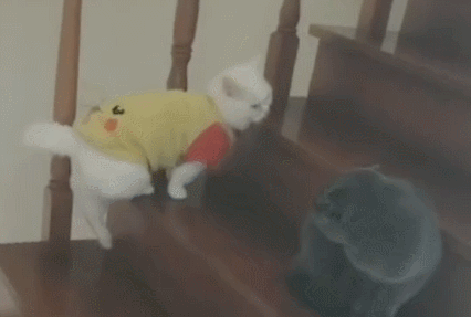 AG下载