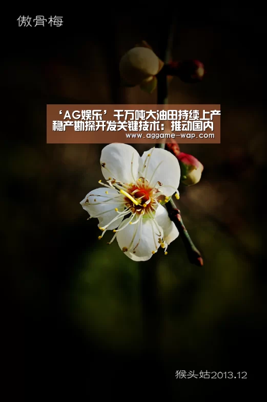 AG地址
