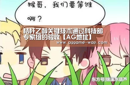 秸秆乙醇关键技术通过科技部专家组的验收【AG地址】(图1) AG地址