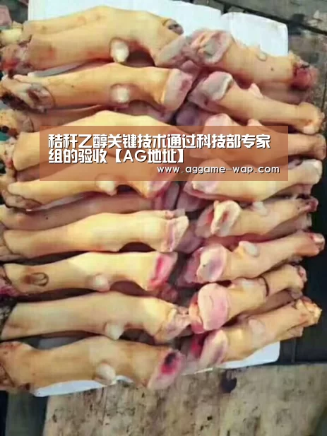 秸秆乙醇关键技术通过科技部专家组的验收【AG地址】(图2) AG地址