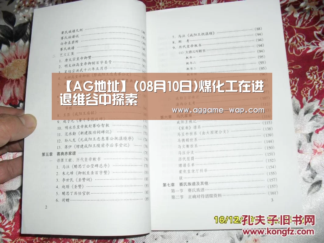 【AG地址】(08月10日)煤化工在进退维谷中探索(图1) AG百家乐