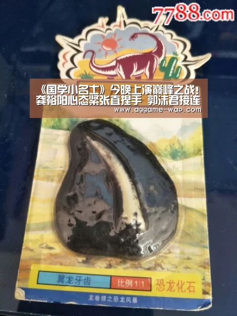 AG地址