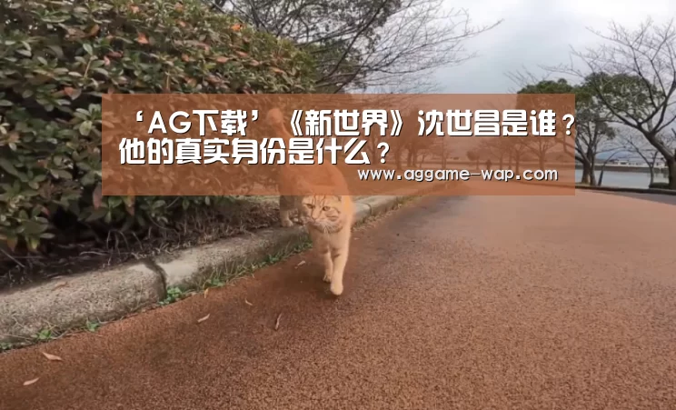 AG地址
