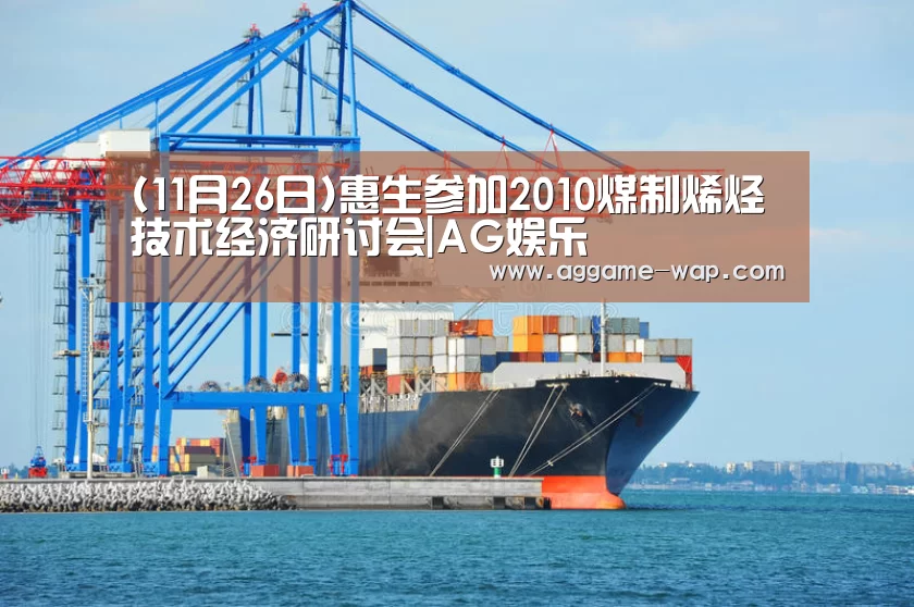 (11月26日)惠生参加2010煤制烯烃技术经济研讨会|AG娱乐(图1) AG地址