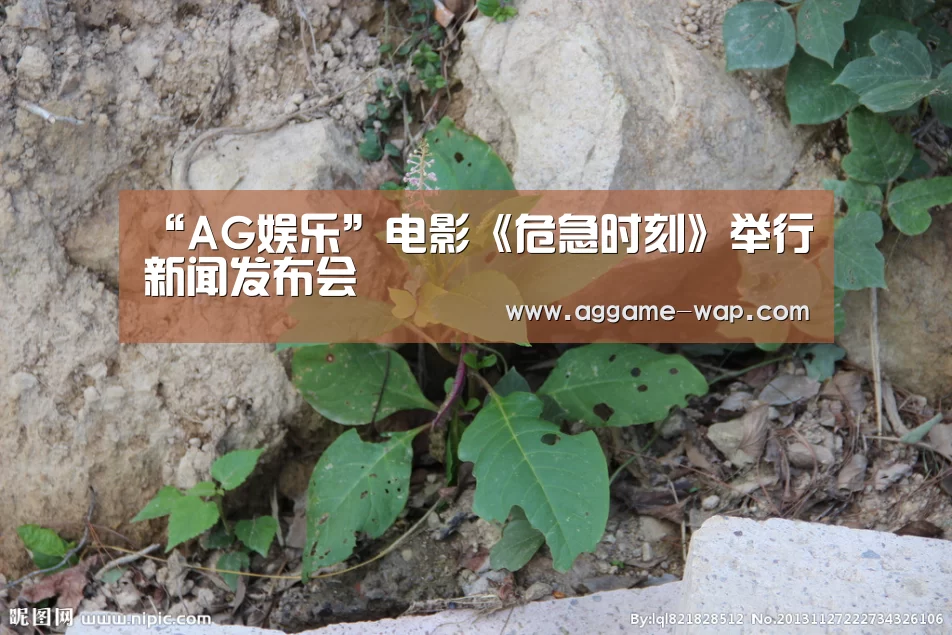 “AG娱乐”电影《危急时刻》举行新闻发布会(图1) AG下载