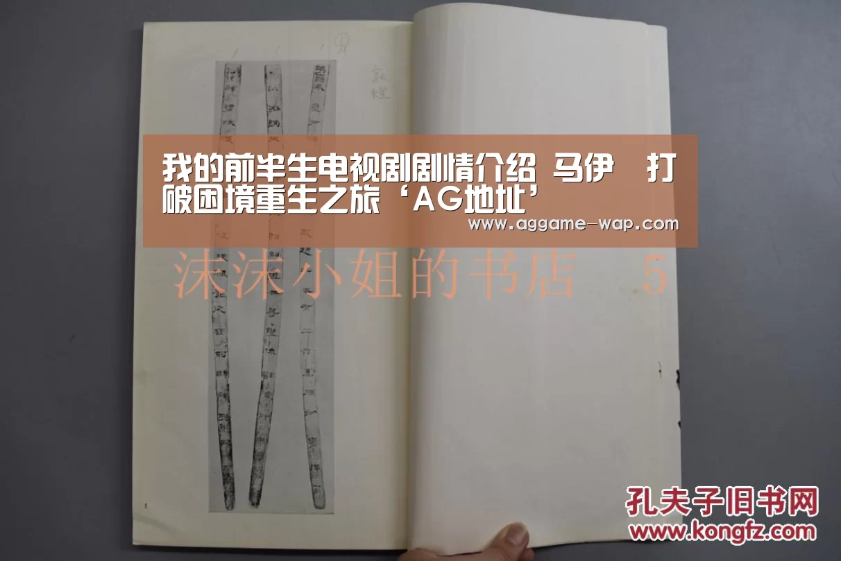 我的前半生电视剧剧情介绍 马伊琍打破困境重生之旅‘AG地址’(图4) AG娱乐